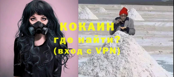 индика Волоколамск