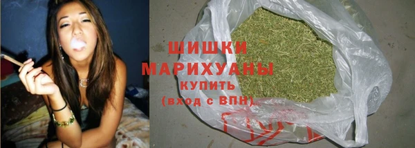 индика Волоколамск